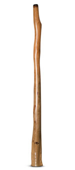Tristan O'Meara Didgeridoo (TM261)